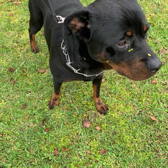 ⭐️⭐️CHECK OUT 💥⚡️✨💫 - Picture 8 of 8